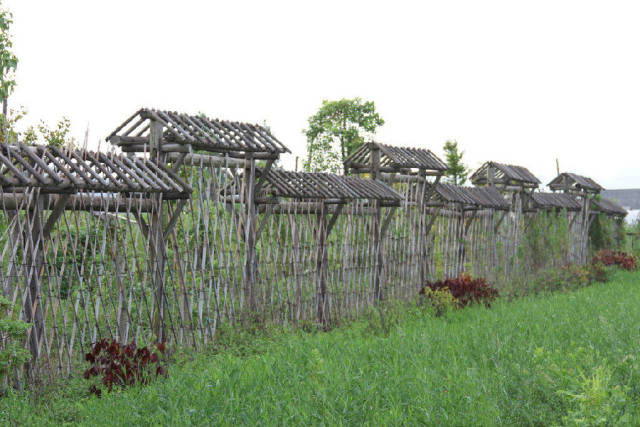 农村庭院篱笆墙图图片