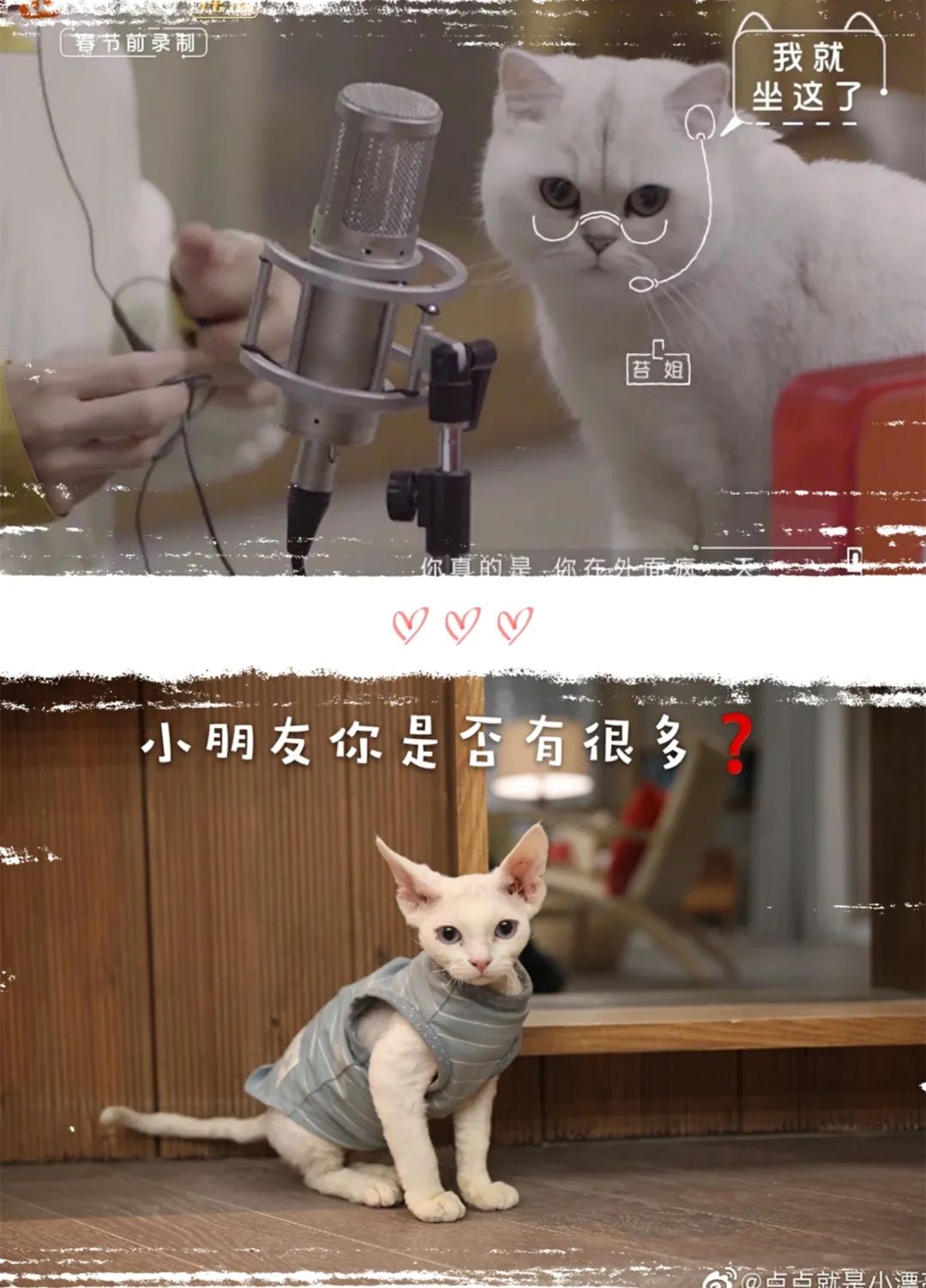 让我们说悄悄话说到沙哑朋友请听好