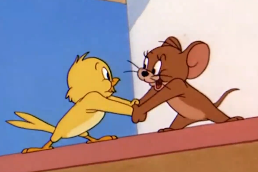 猫和老鼠方言配音:杰瑞和小鸟达成合作,共同抵抗不依不饶的汤姆