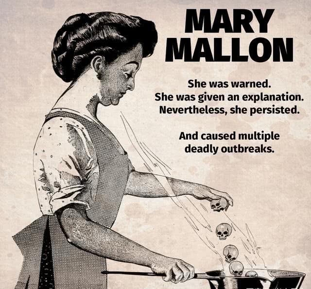 伤寒玛丽史上最恐怖的厨子第一个被发现的无症状感染者