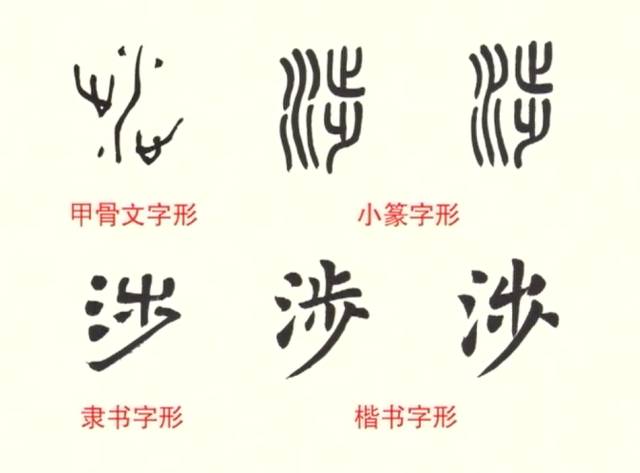 一日一字|每天一个字,今天学写"涉"