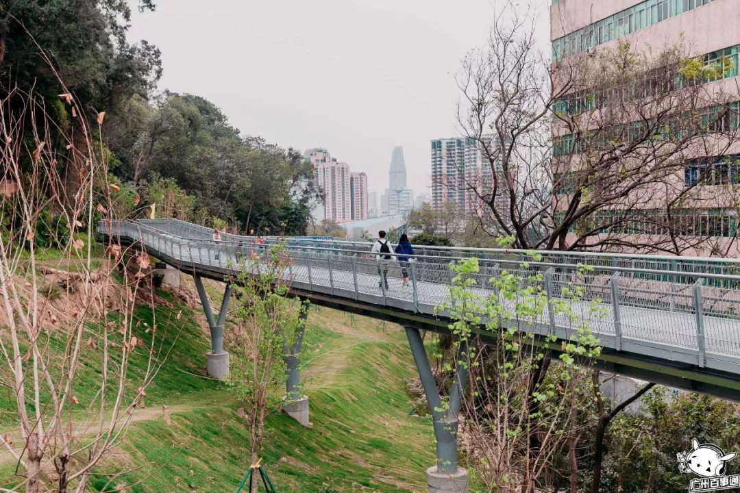 廣州首條空中步道連接3大秀山花海古蹟盡享雲上美景