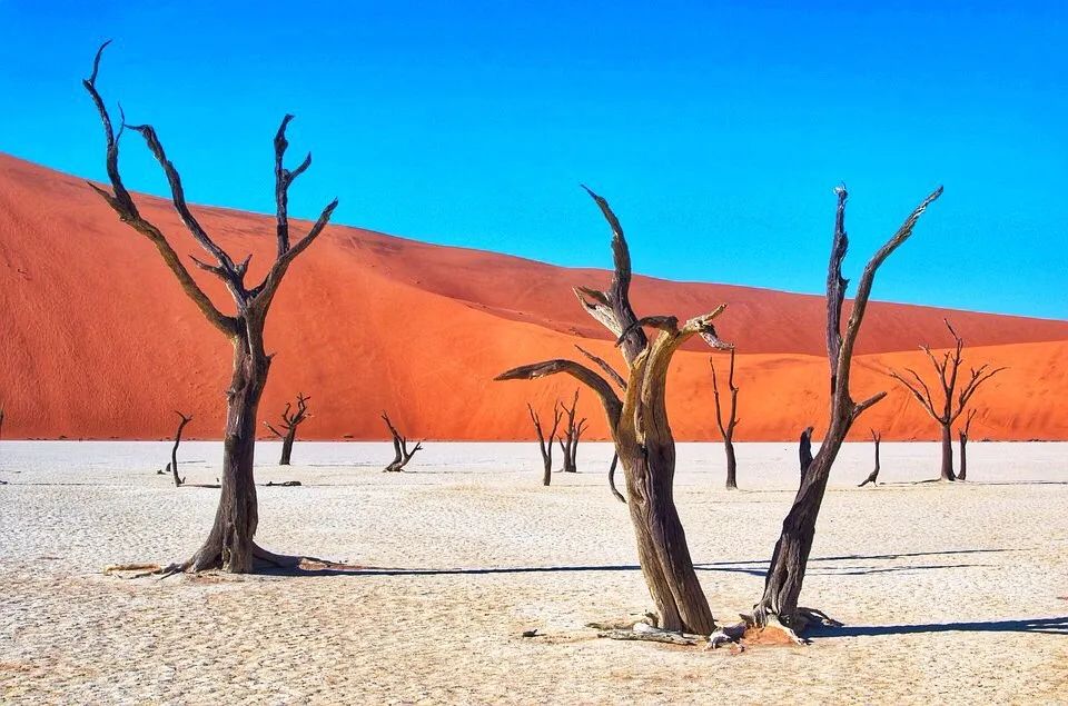 世界上有太多奇妙的地方美得不太真实