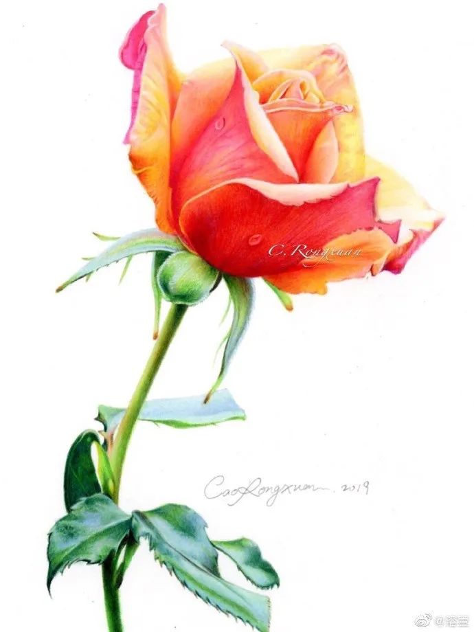 油性彩铅这样画,效果简直美炸!_溶萱