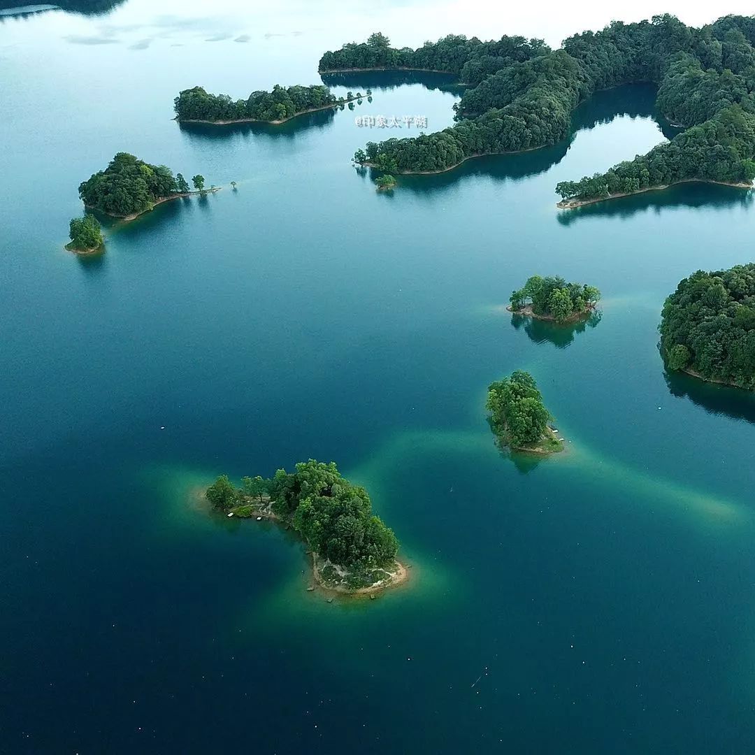 太平这个特色小镇网络影响力指数耀眼!看她送给你的春夏秋冬._太平湖