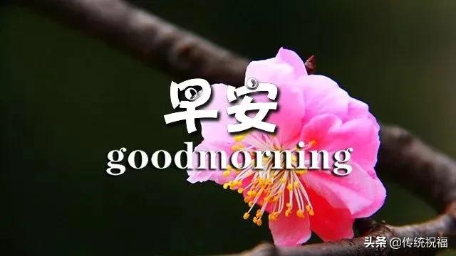 最新朋友圈早安问候祝福语图片带字,最美的早安唯美祝福图片