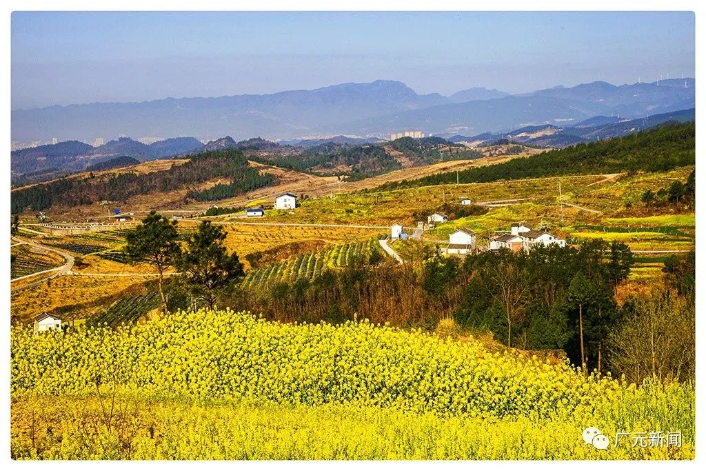 春色如许 利州大石镇风光如画