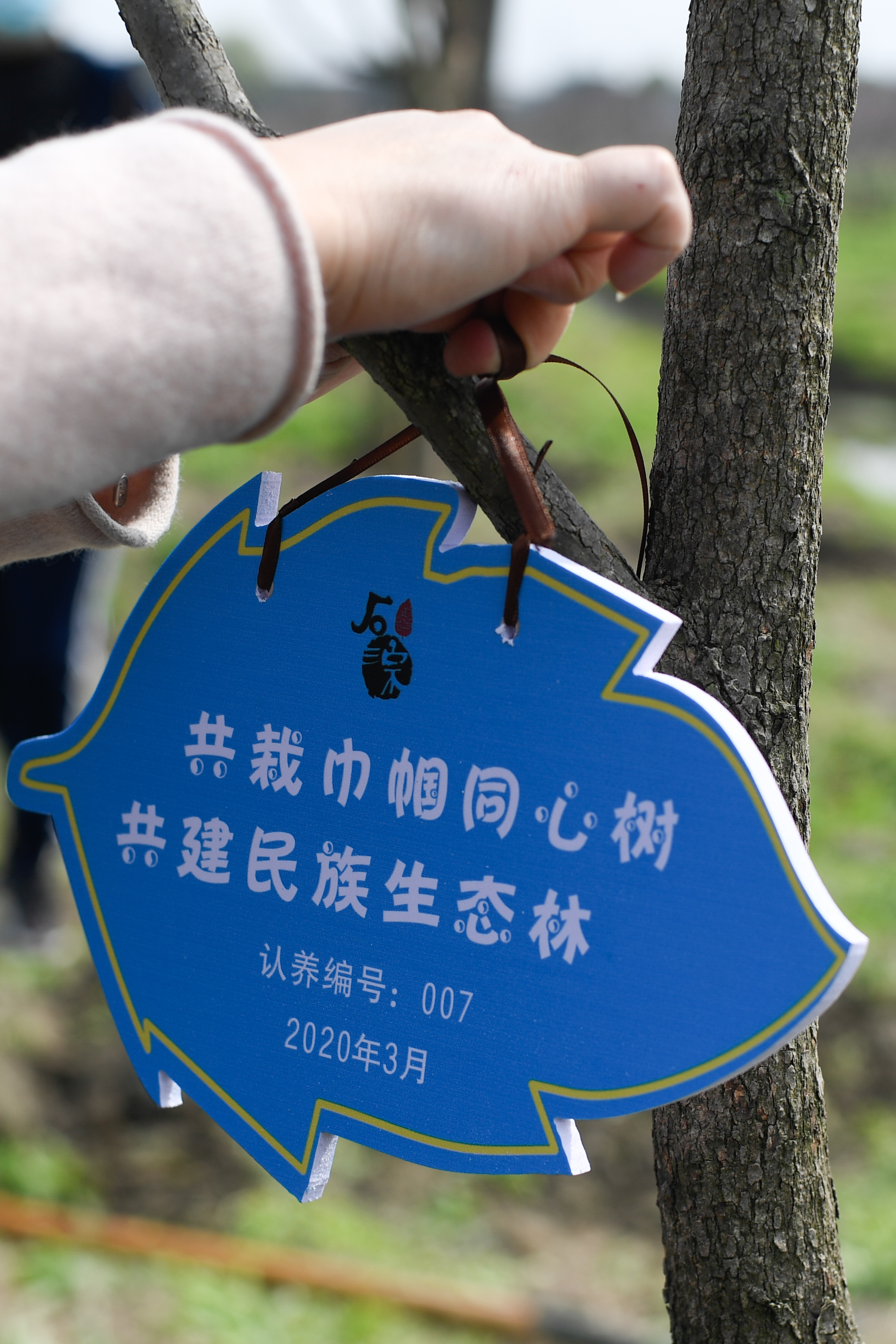 植树节环保标牌图片