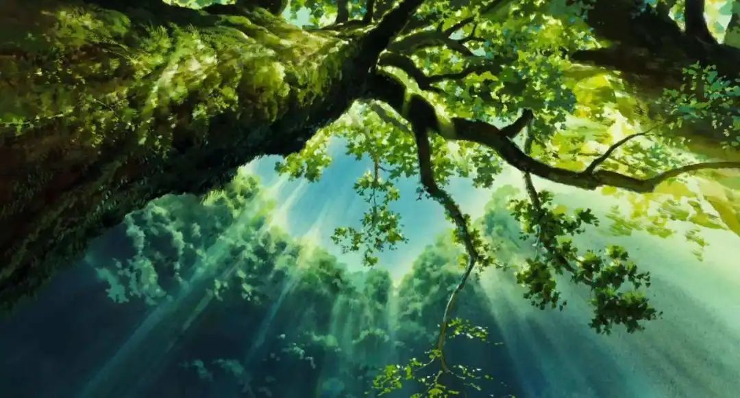 greenwoods森林·阳光现在,跟着小编的脚步,在宫崎骏的动漫场景中,用