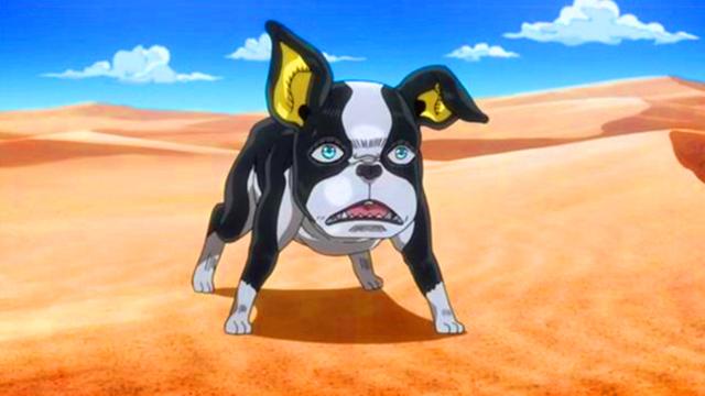 原创jojo听说狗狗吃巧克力会挂荒木飞吕彦不服有替身这都不叫事