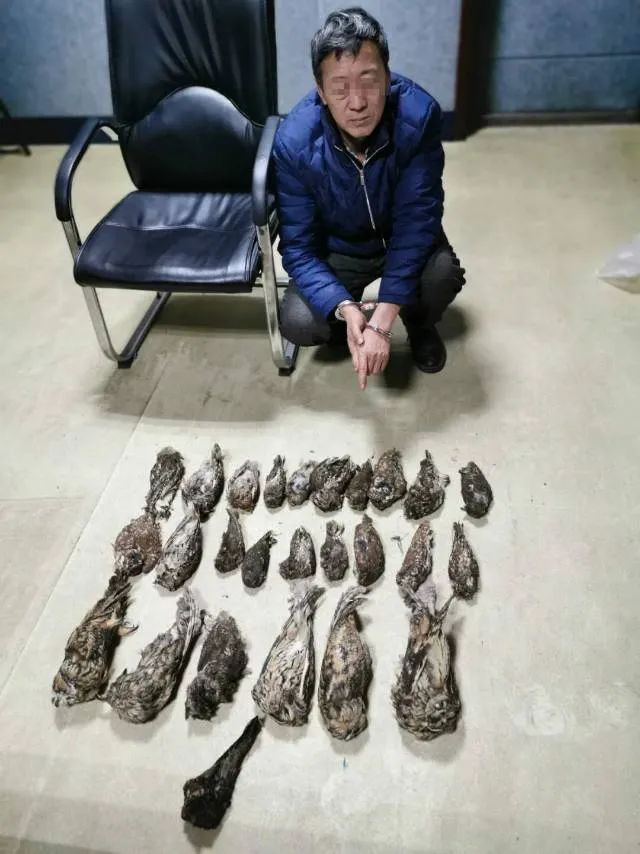 非法贩卖数百只野生动物,青岛8人被抓!现场触目惊心