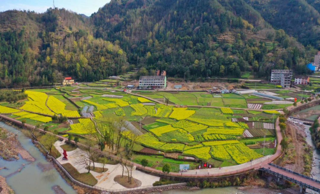 温州农村六清行动打响美丽乡村品牌