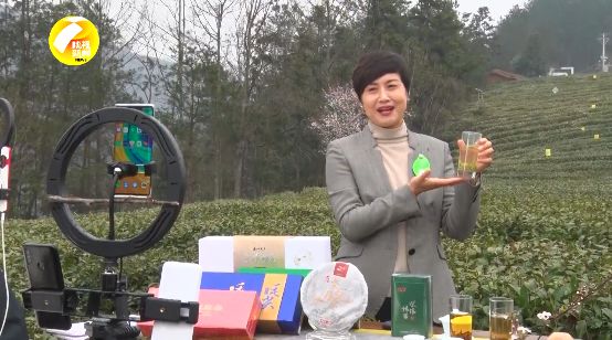 "最美茶乡"中国茶叶百强县"紫阳也是全国十大生态产茶县紫阳县 县长