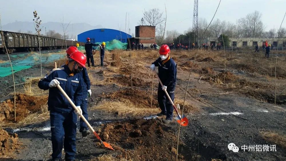 年年植新樹歲歲增翠顏中州鋁業開展2020年春季綠化義務植樹活動