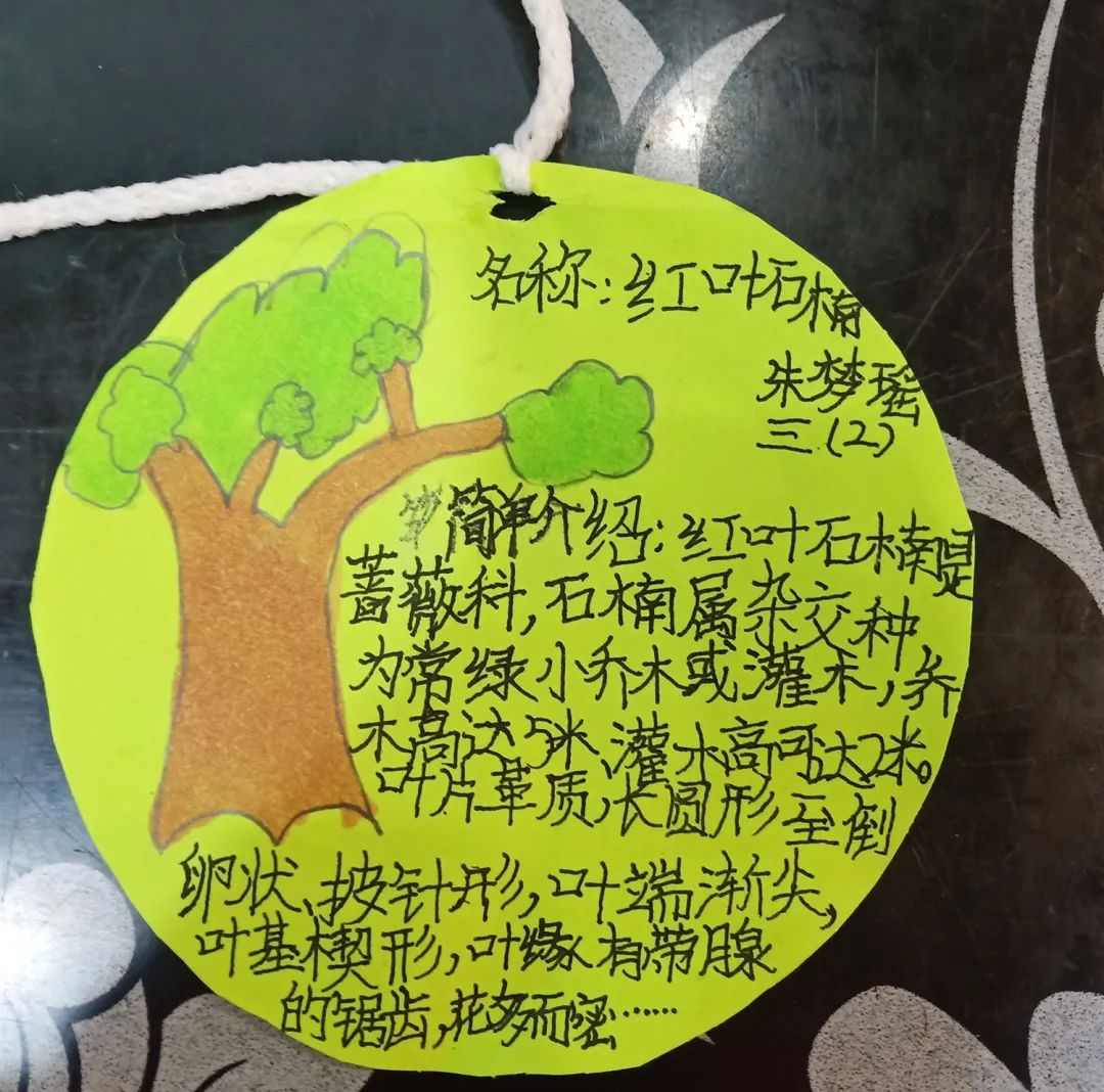 儿童手工制作树牌图片