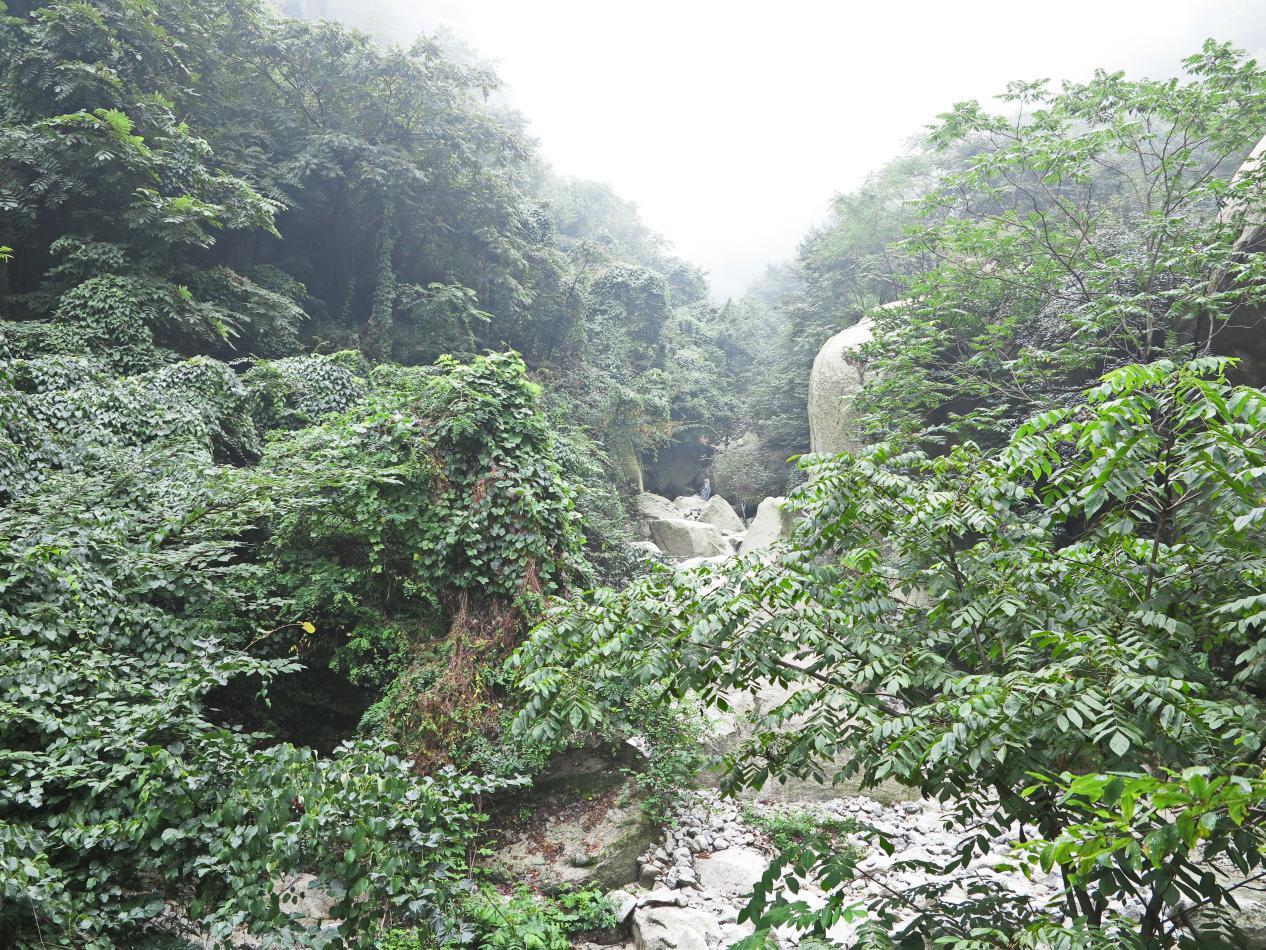 希夷峡,莎萝坪关内石刻"桃林",相传陶渊明的《桃花源记》所描写的"