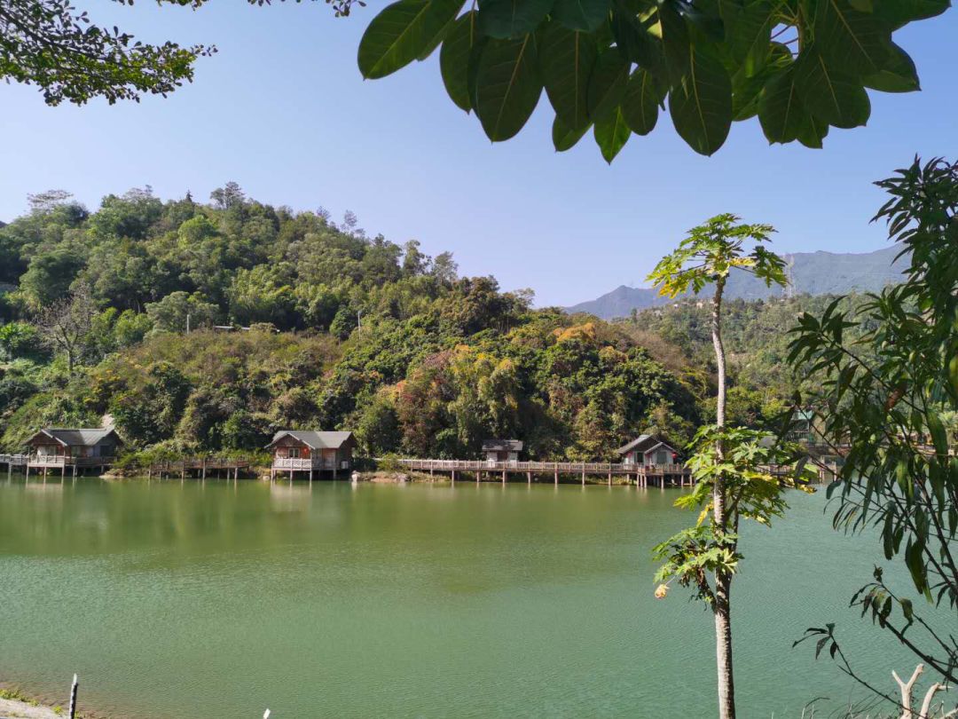 植树节双龙潭景区在行动一起种下绿色希望吧