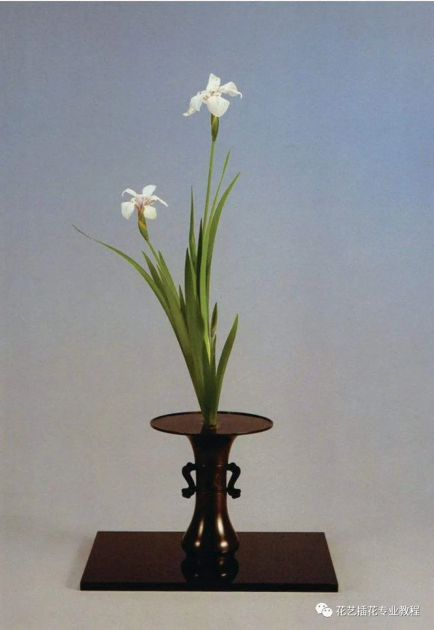 插花艺术|日式花道-三位一体,和谐统一,简练精细_日本