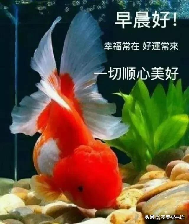 312󷽵ϺʺͼƬϺõף