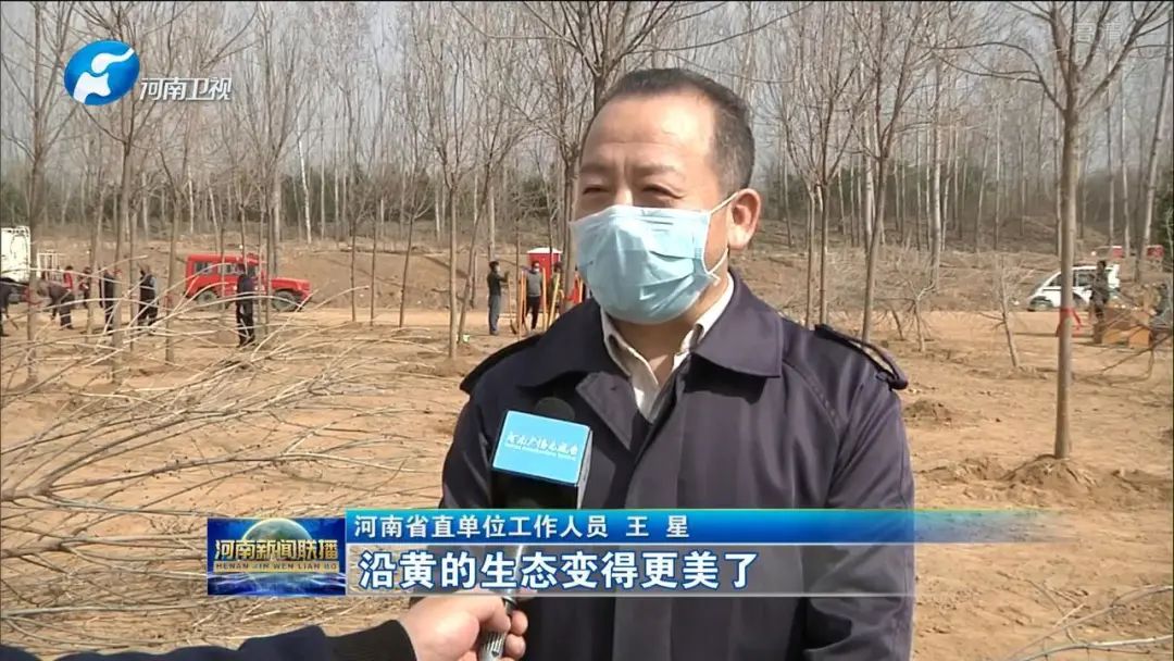 河南省直单位工作人员 王星沿黄的生态变得更美了,黄河流域鸟类,湿地