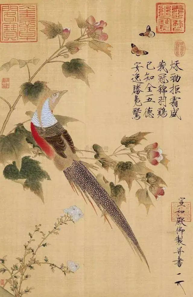 宋徽宗画作《芙蓉锦鸡图》