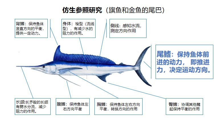 原创严玉庆如何动手制作仿生鱼和我一起走进steam教育