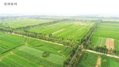 河南南阳加速造林绿化打造绿水青山为建设大城市提供生态保障