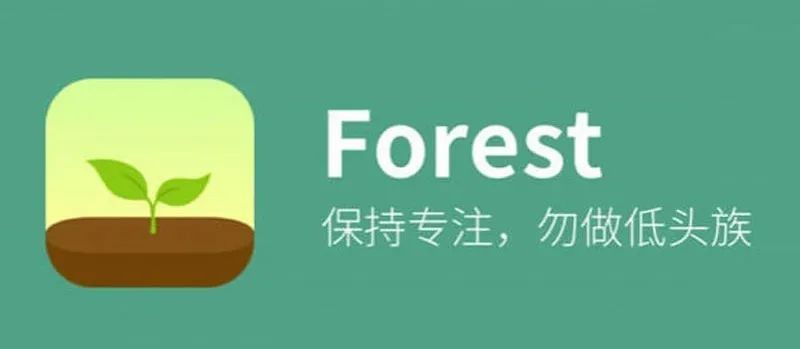 作为一款画风简洁的效率软件,大部分学生党都对forest(专注森林)爱不