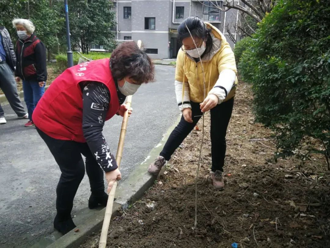 这次植树活动不仅美化了家园,同时也打破了疫情的雾霾,给广瑞一村辖区