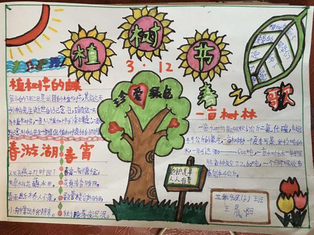 千阳县水沟镇中心小学开展我与小树共成长植树节主题活动