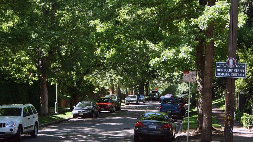 多多植树好处多树木是保持城市凉爽的秘密武器