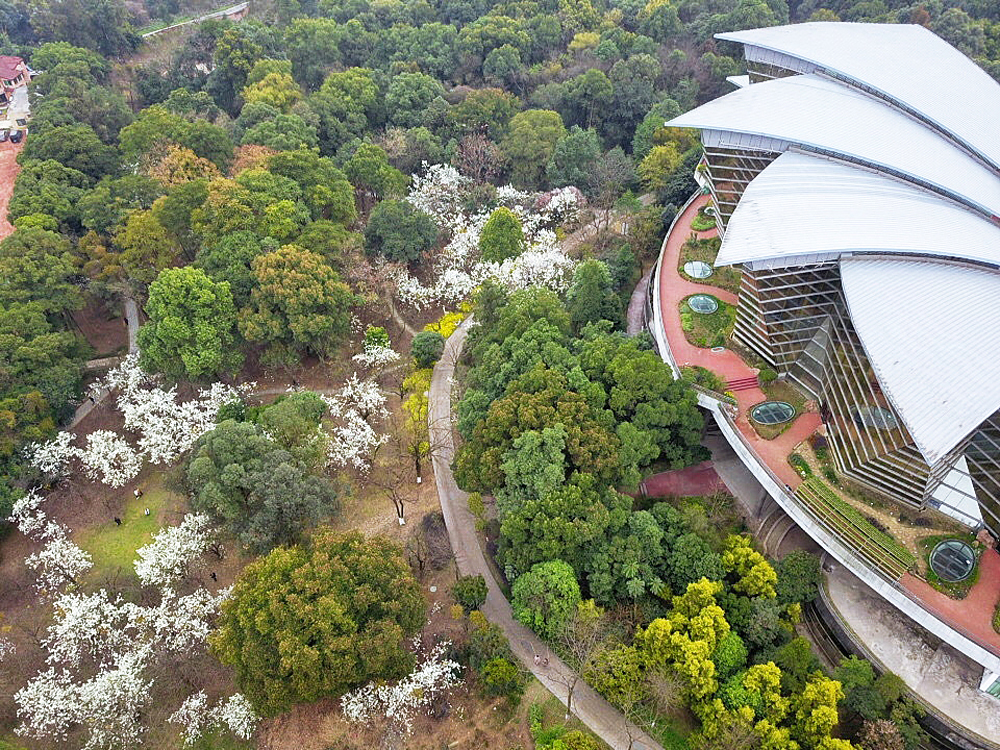 "共筑公园地球村,爱和绿野同呼吸" 成都植物园树木等你来认养