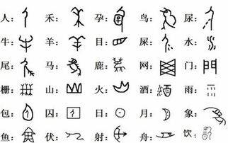 汉字的变化顺序图片