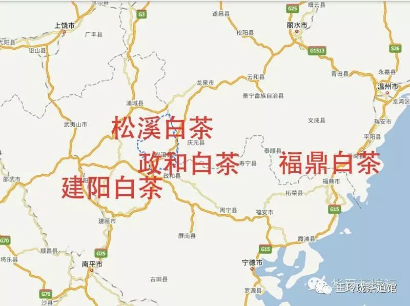白茶的生产除以福鼎为代表的闽东产区外,还有以政和为代表的闽北产区.