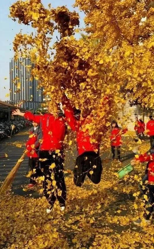 成都市大彎中學(xué)圓夢(mèng)班”開(kāi)始報(bào)名啦(圖2)