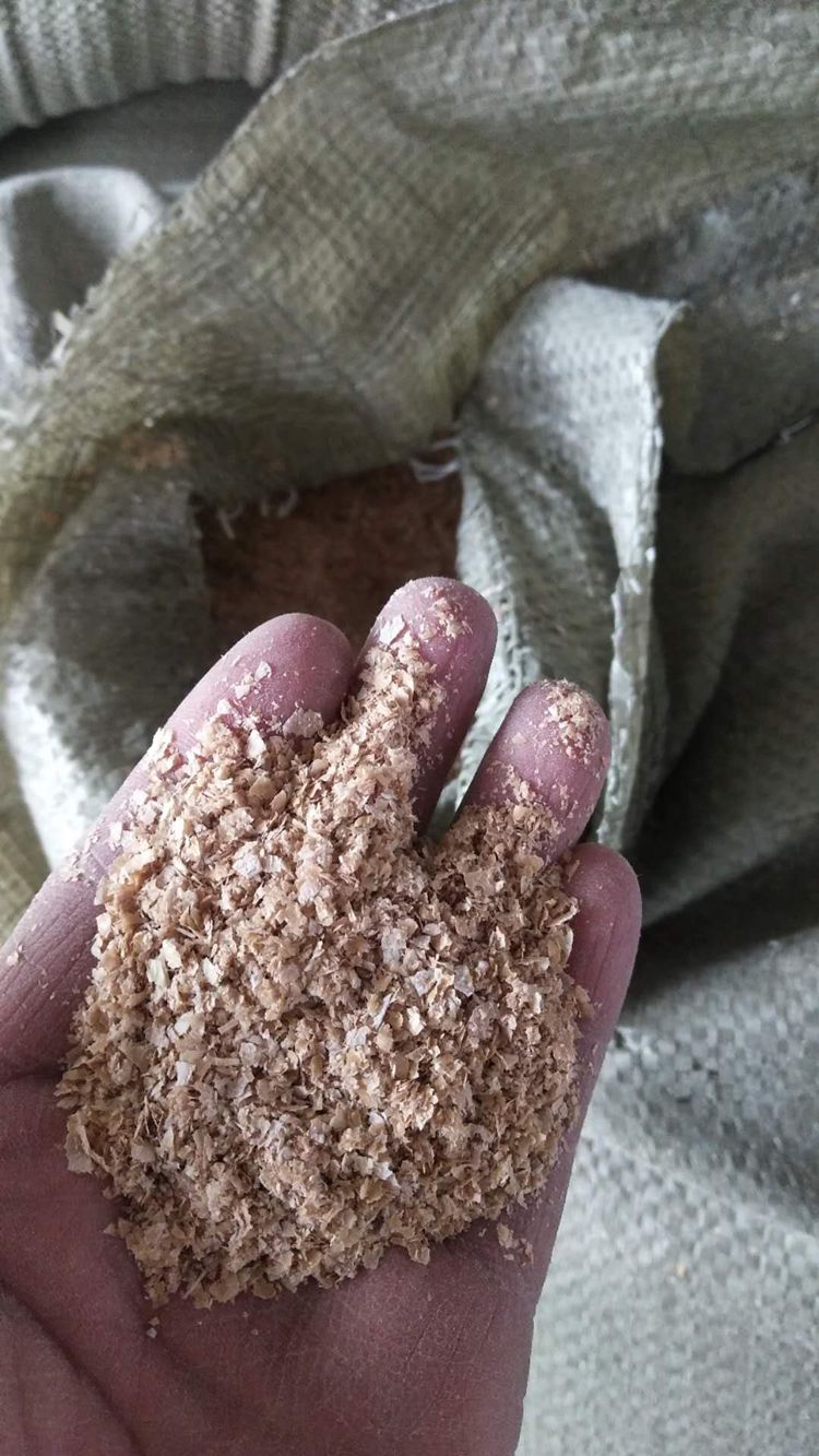 爱心助农纯绿色山林散养鸡399一只无饲料无激素纯粮喂养