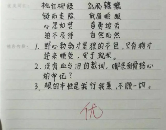 这些小学生作业让人佩服,字迹像极了"印刷体",老师:视觉盛宴_字体