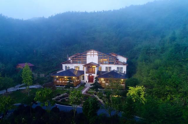 植树月植树邀您与枫溪谷一同守护2000亩森林