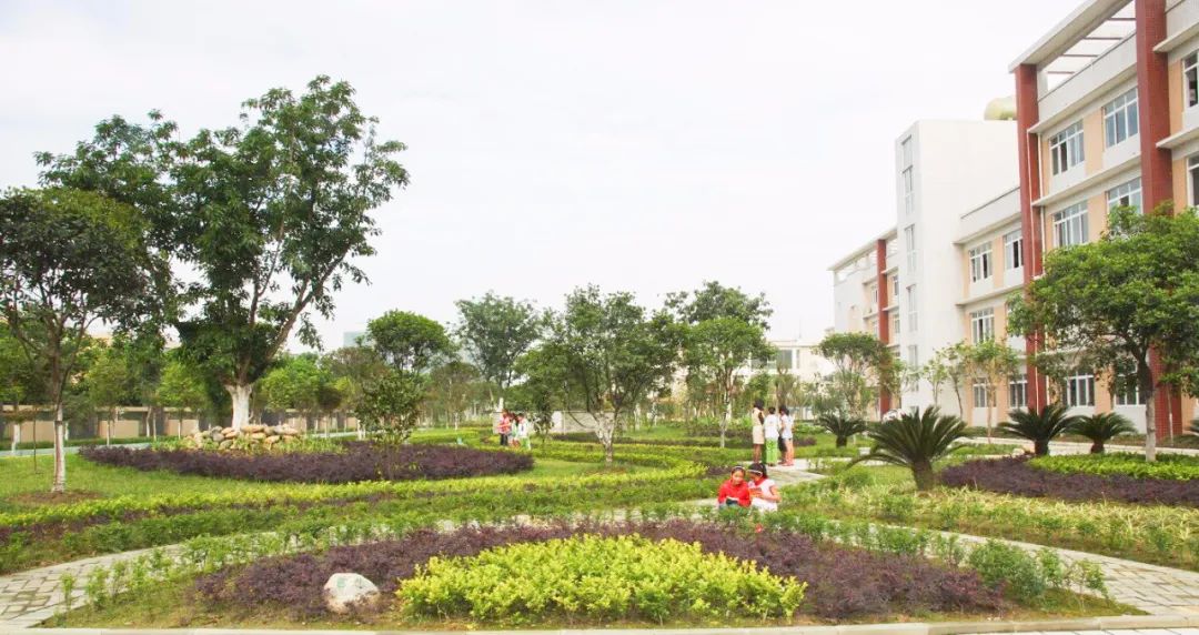 东坡区东坡小学东坡区苏南小学眉山师范附属小学眉山一中市一小(超超