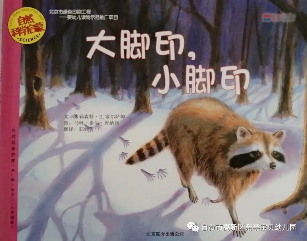 《大脚印,小脚印》教育意义:蜘蛛是昆虫吗?瓢虫呢?