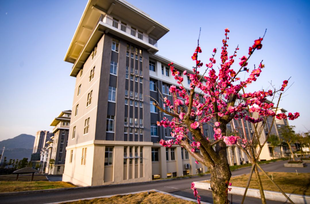 (恩阳中学)(南江四中)(南江县博骏公学)(恩阳区磨子小学)(通江七小)