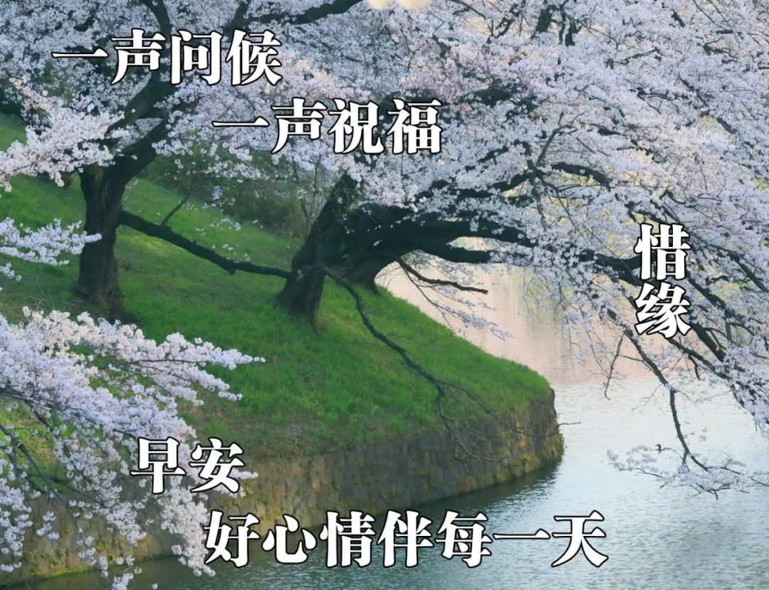 2020超漂亮早上好问候语图片大全,最好看的早上好的祝福短信