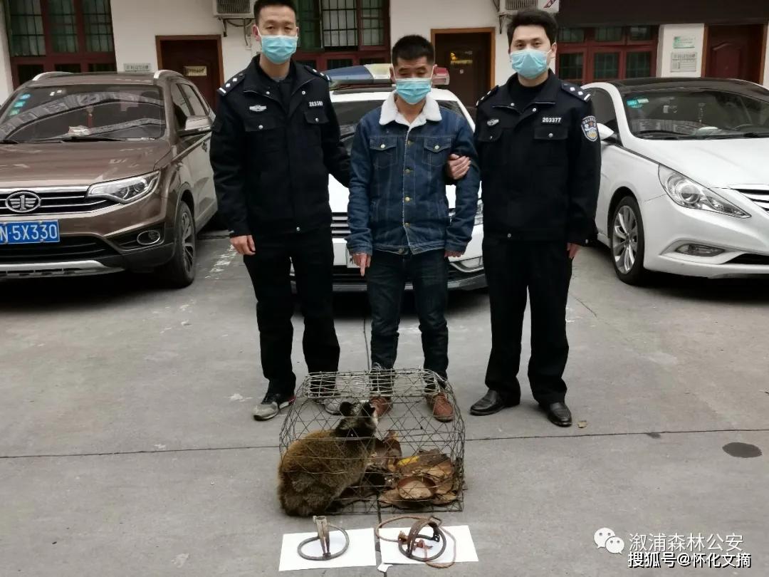 刑事立案一村民猎捕果子狸被怀化森林公安抓获
