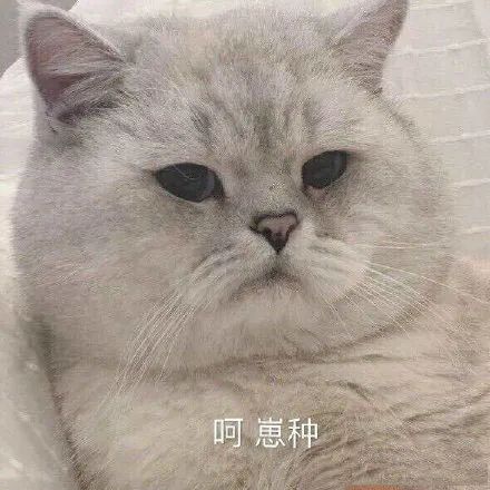 猛男表情包生氣完全生氣