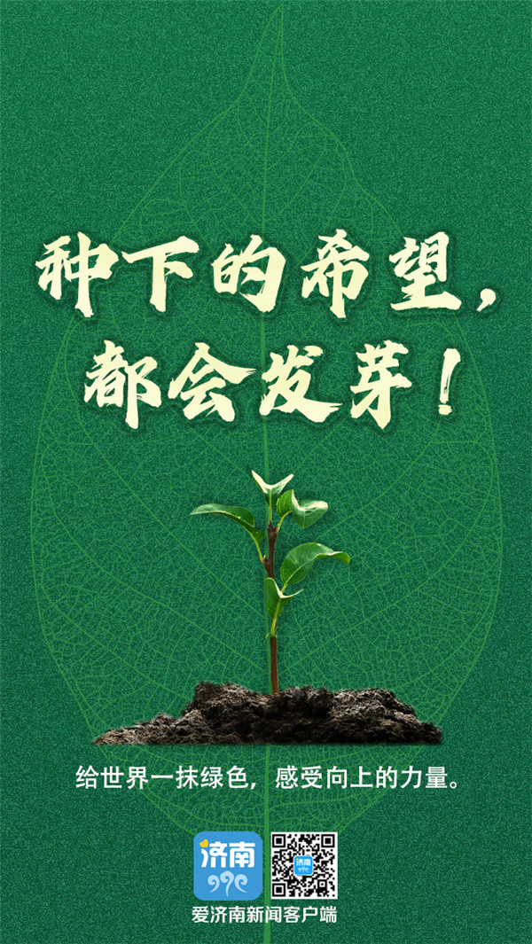 一树年轮一城风景爱济南邀您一起种下希望