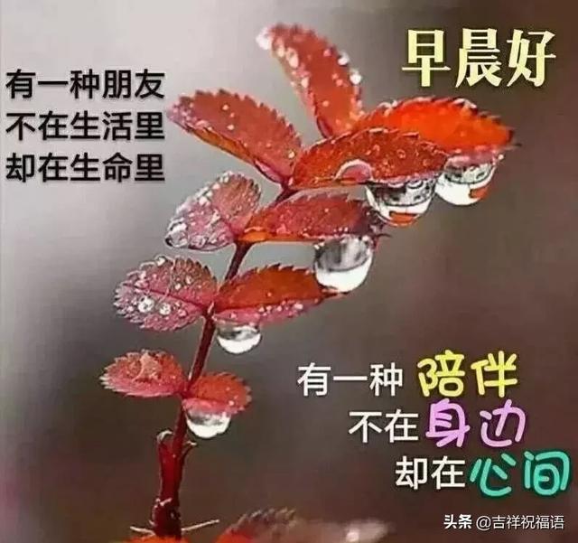 周四早晨好问候语图片表情早上好最棒问候哲理祝福语