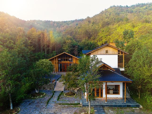 植树月植树邀您与枫溪谷一同守护2000亩森林