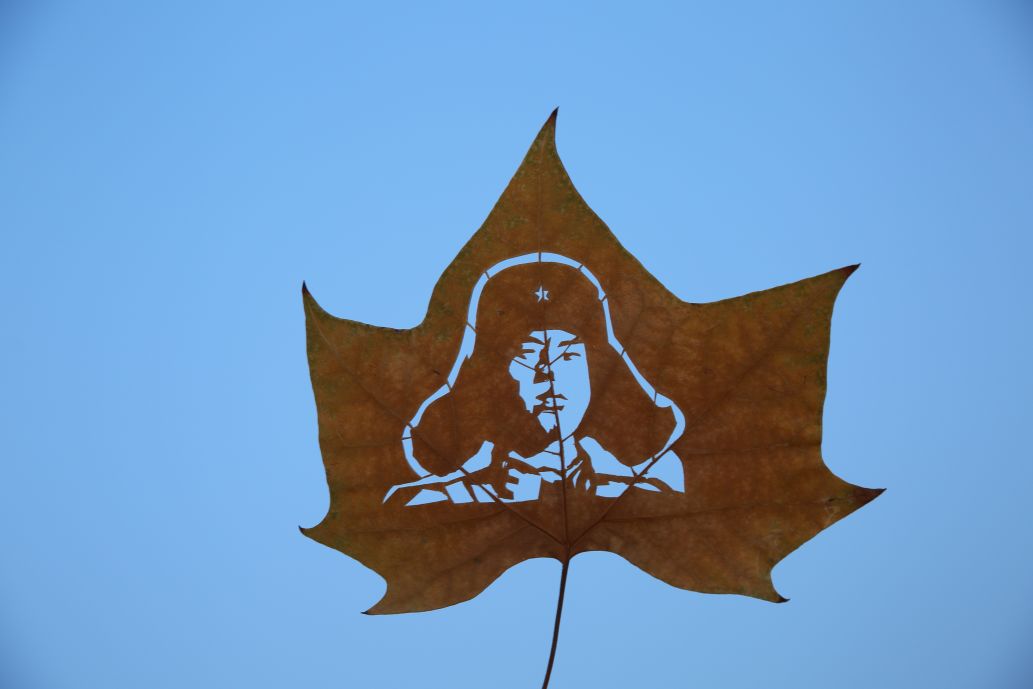 济宁民间艺人用树叶刻画致敬逆行者