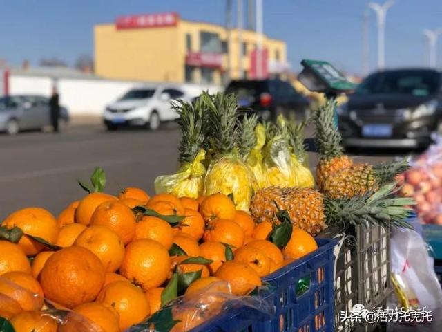 托克托县战疫不误拥抱美好春光