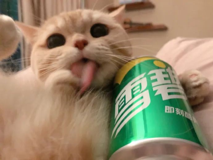 咦这个旺仔牛奶好像有点奇怪~如果一份可爱治愈不了你的话,那就两份吧